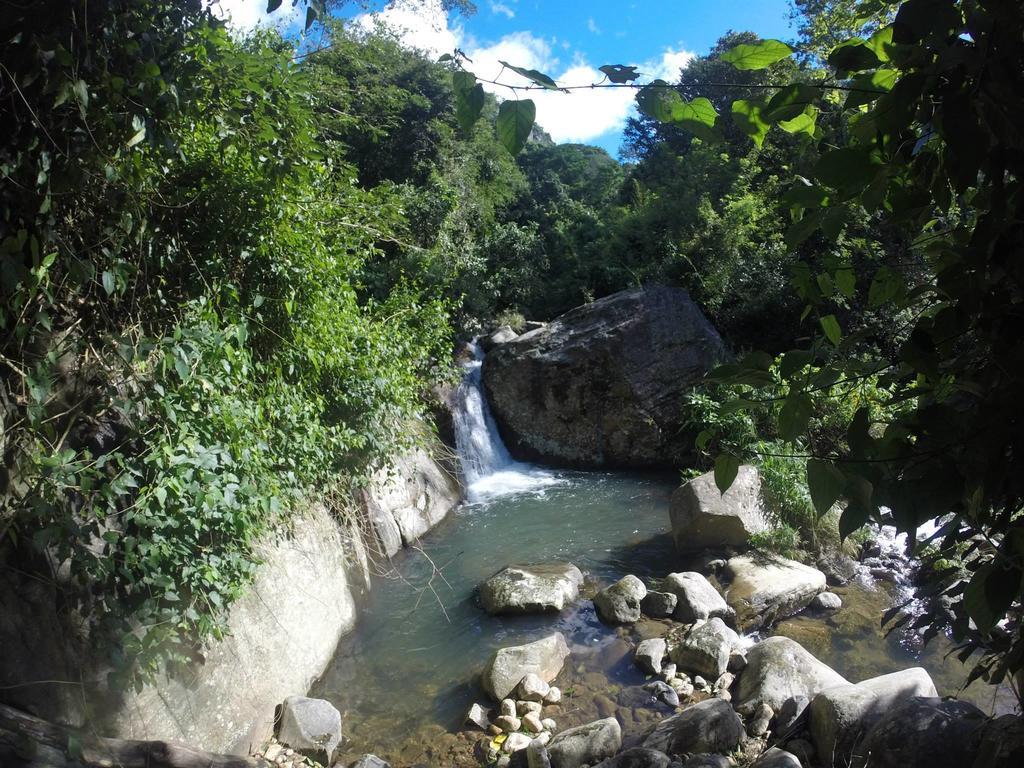 The Woods - Birding, Farming & Eco Living Hotel Haputale Exterior foto